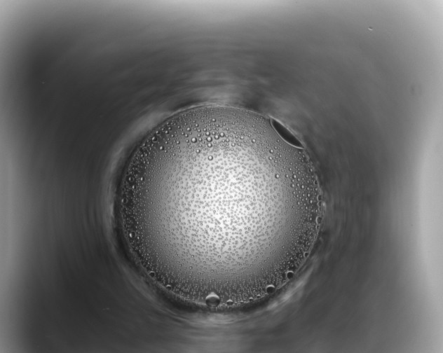 X0000088710149200706071607