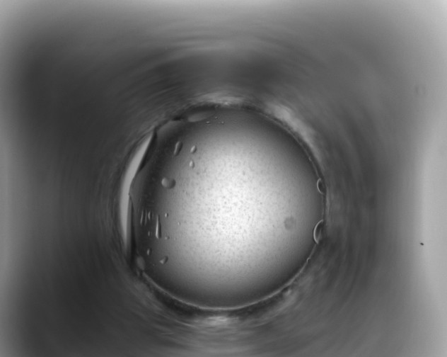 X0000088710153200706071607