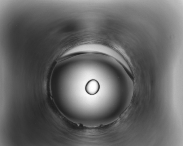 X0000088710154200706071607