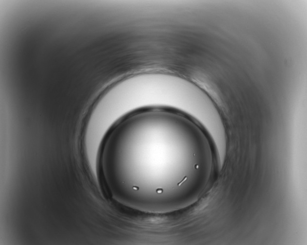 X0000088710156200706071607