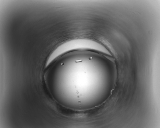 X0000088710161200706071607