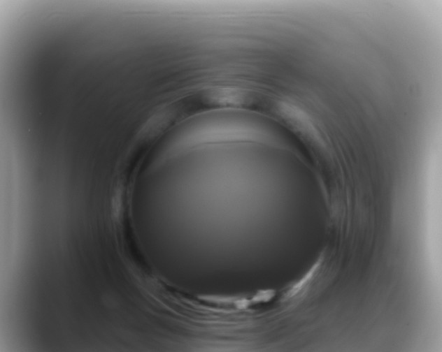 X0000088710167200706071607