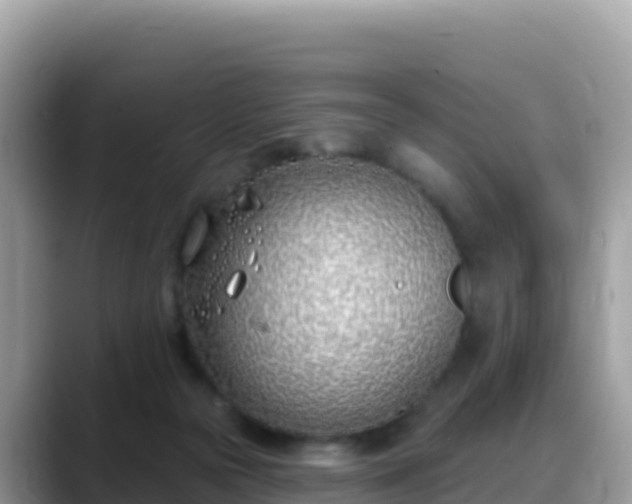 X0000088710169200706071607