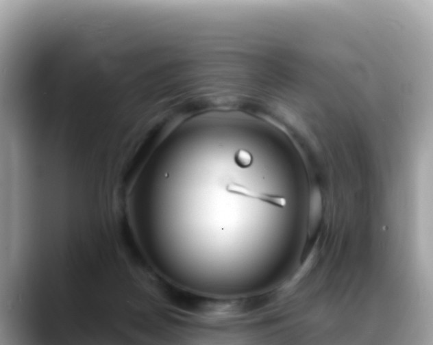 X0000088710170200706071607