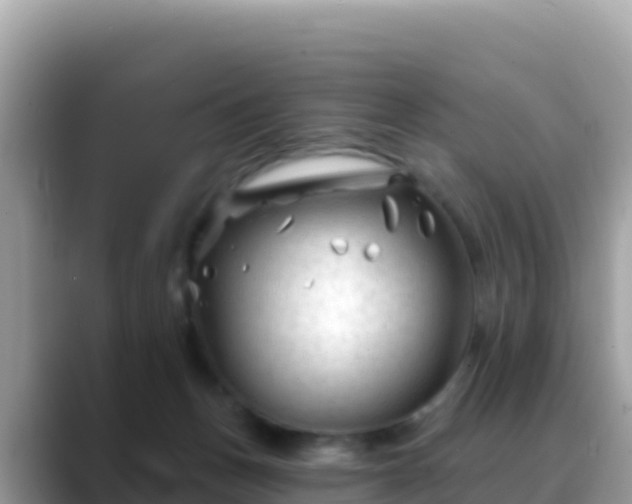 X0000088710175200706071607