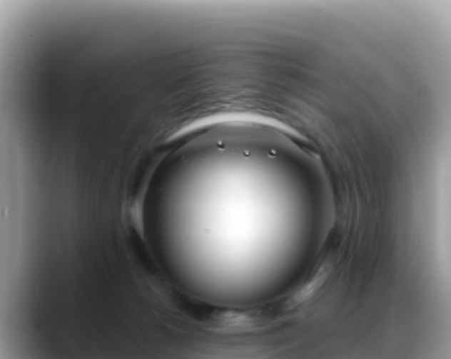 X0000088710180200706071607