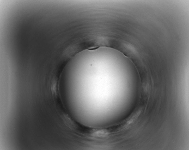 X0000088710185200706071607