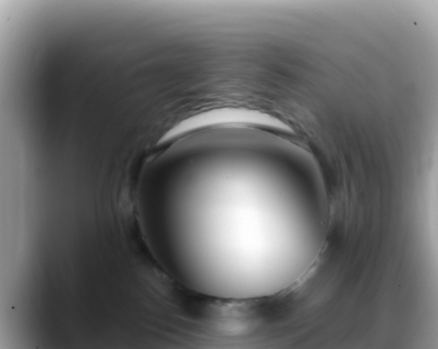 X0000088710186200706071607