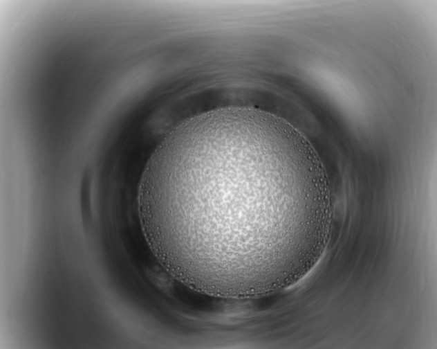 X0000088710191200706071607