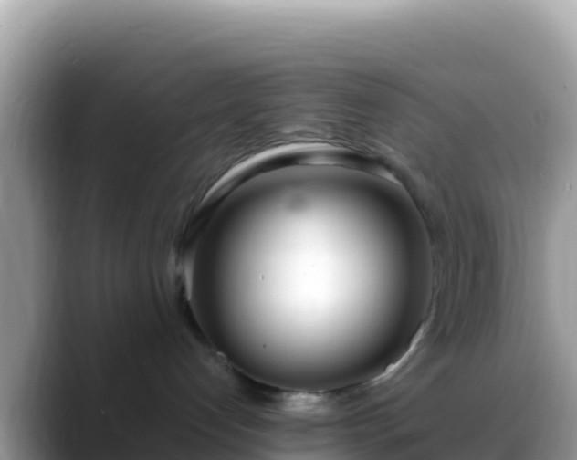 X0000088710192200706071607