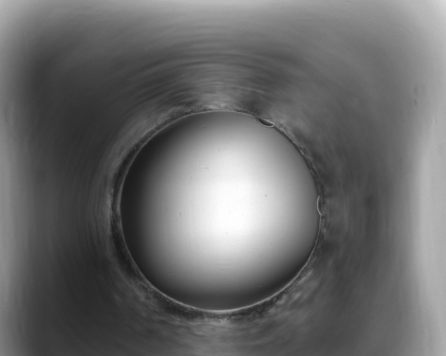 X0000088710194200706071606