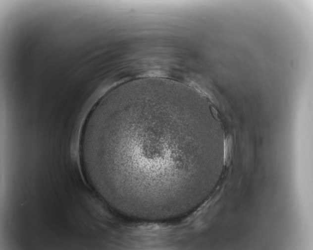 X0000088710195200706071606