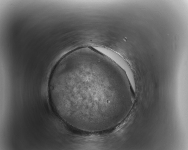 X0000088710196200706071606