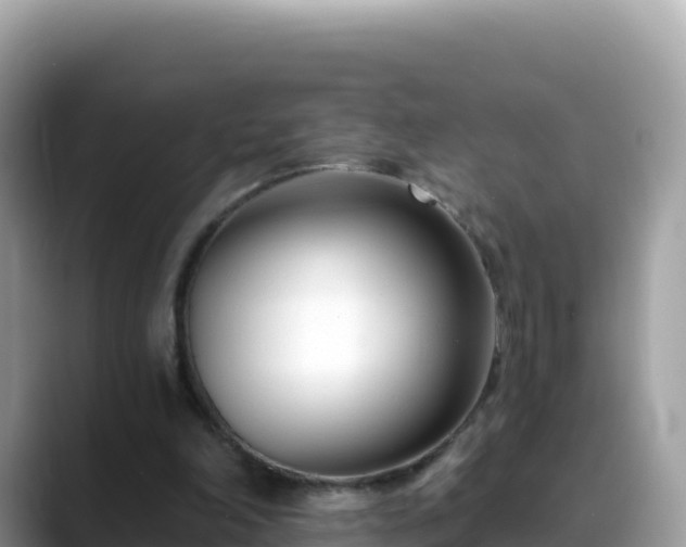 X0000088710198200706071606