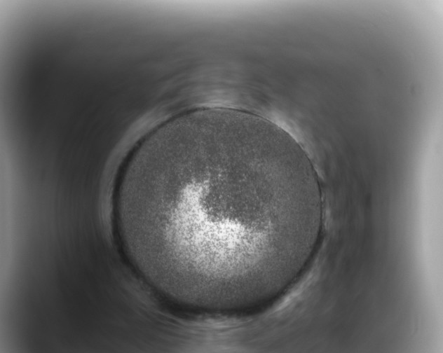 X0000088710199200706071606
