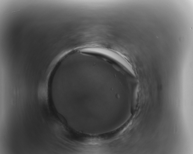 X0000088710200200706071606