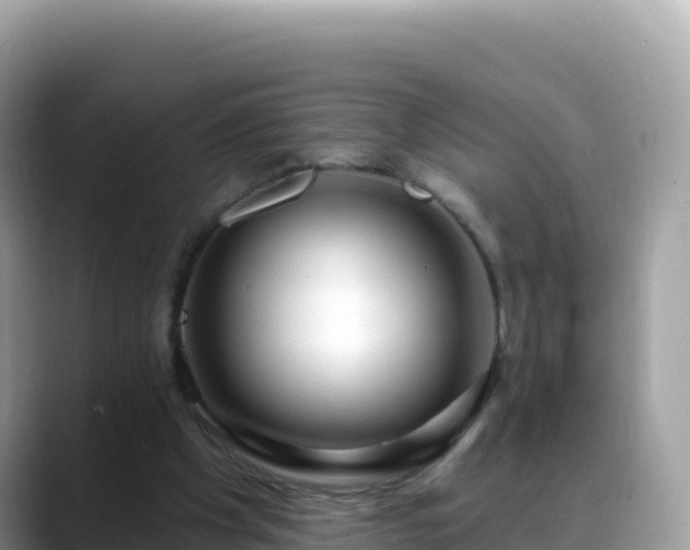 X0000088710201200706071606