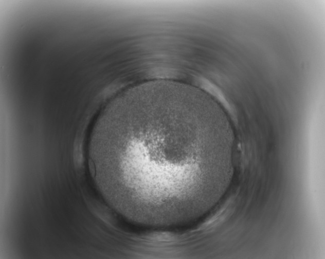 X0000088710203200706071606