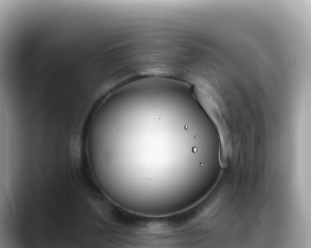 X0000088710204200706071606