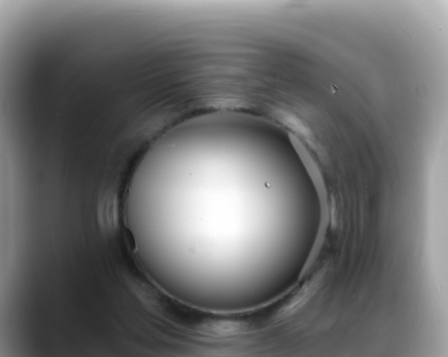 X0000088710205200706071606