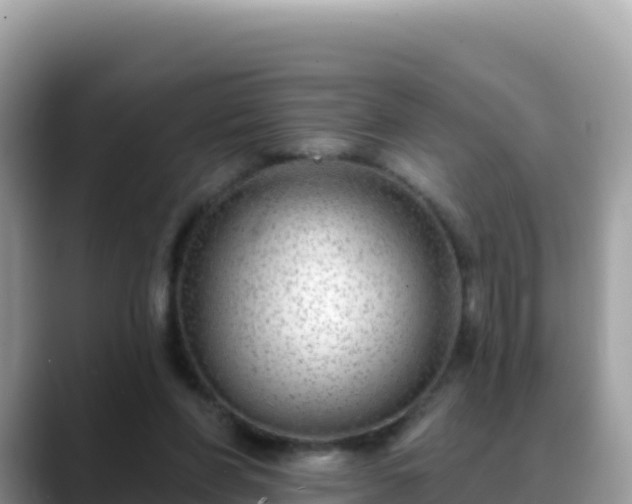 X0000088710206200706071606