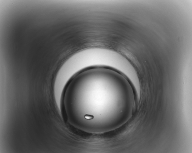 X0000088710207200706071606