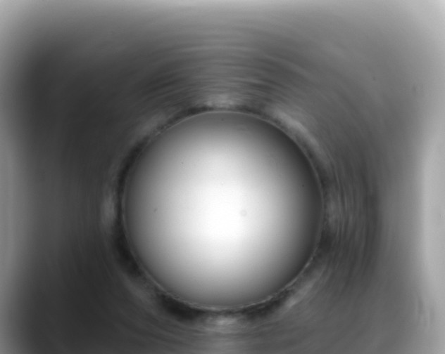 X0000088710208200706071606