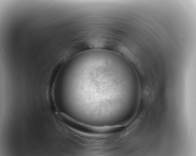 X0000088710209200706071606