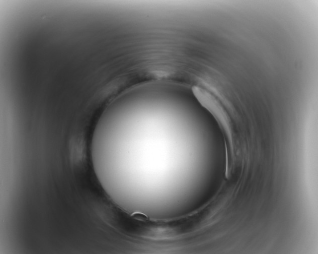 X0000088710212200706071606