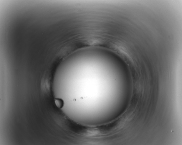 X0000088710214200706071606