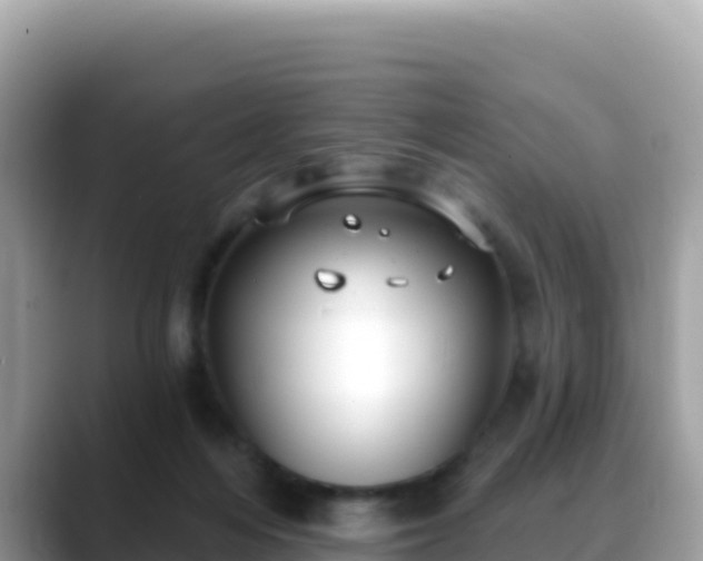 X0000088710216200706071606