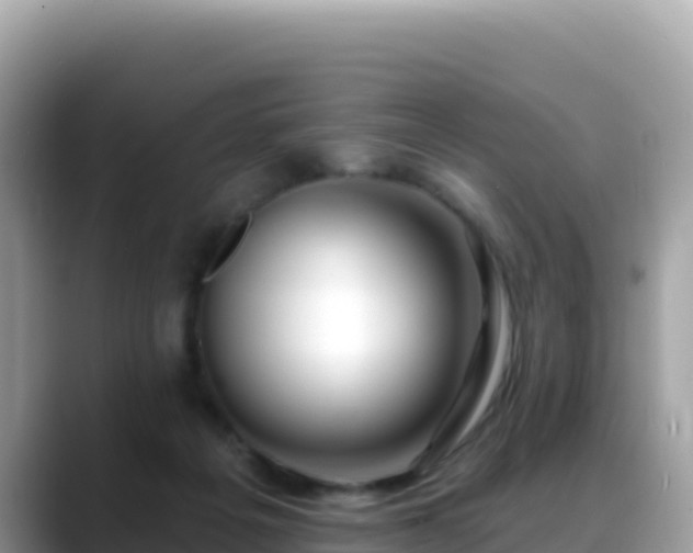 X0000088710217200706071606