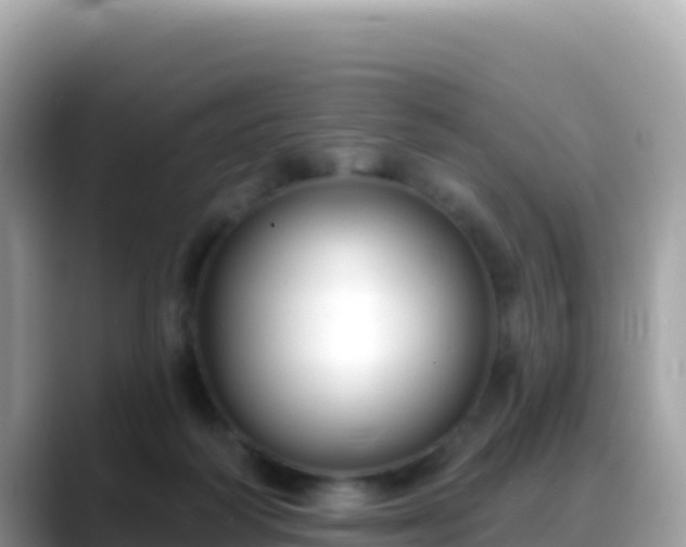 X0000088710218200706071606