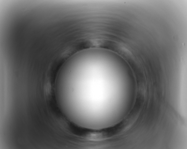 X0000088710220200706071606