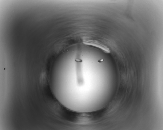 X0000088710222200706071606