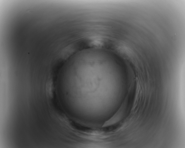 X0000088710223200706071606