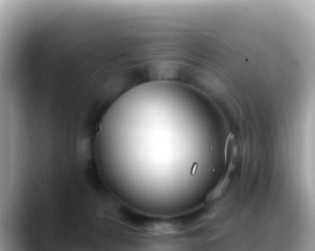 X0000088710224200706071606