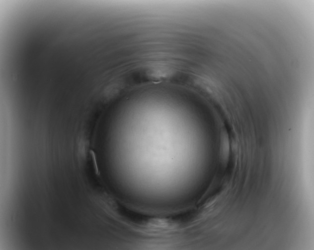 X0000088710227200706071606