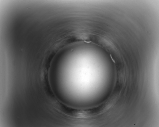 X0000088710229200706071606