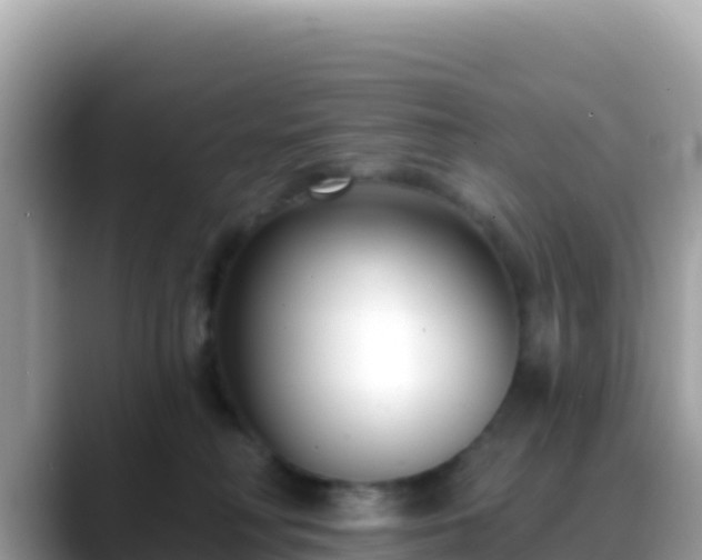 X0000088710230200706071606