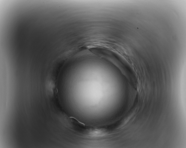 X0000088710235200706071606