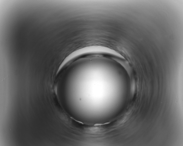 X0000088710237200706071606