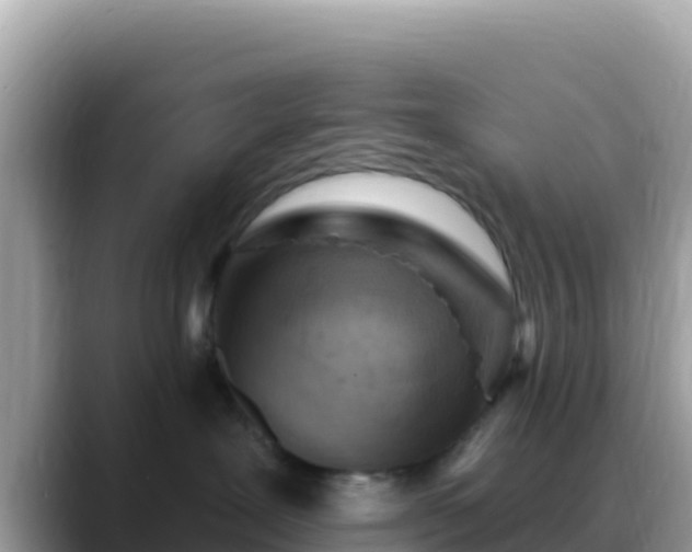 X0000088710239200706071606