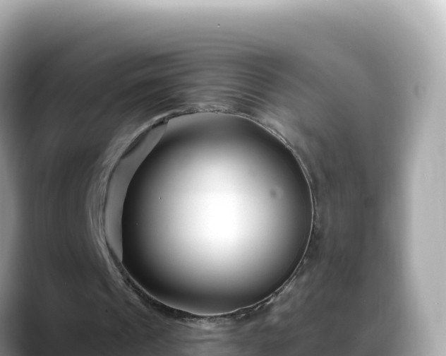 X0000088710241200706071605