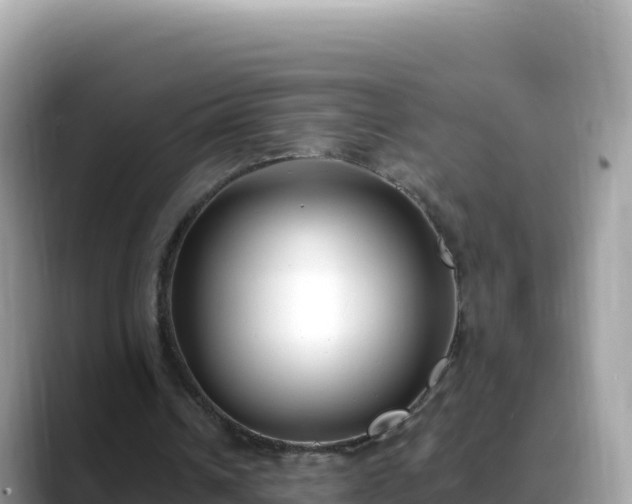 X0000088710242200706071605