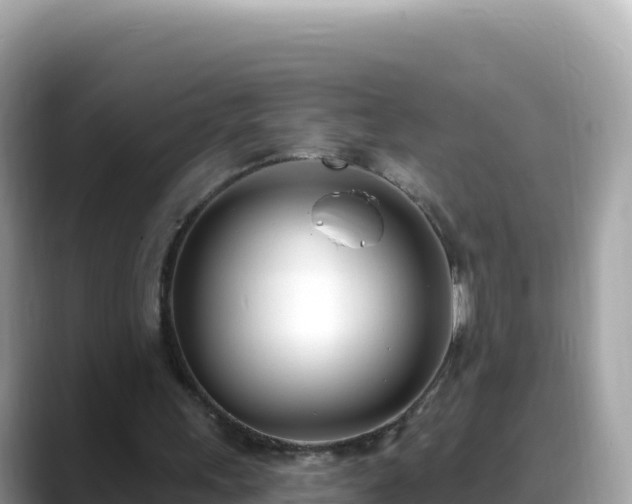 X0000088710243200706071605