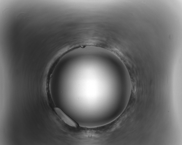 X0000088710244200706071605