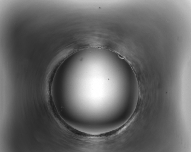 X0000088710245200706071605