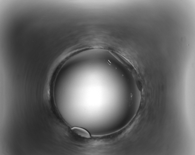 X0000088710246200706071605