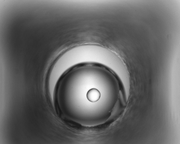 X0000088710248200706071605